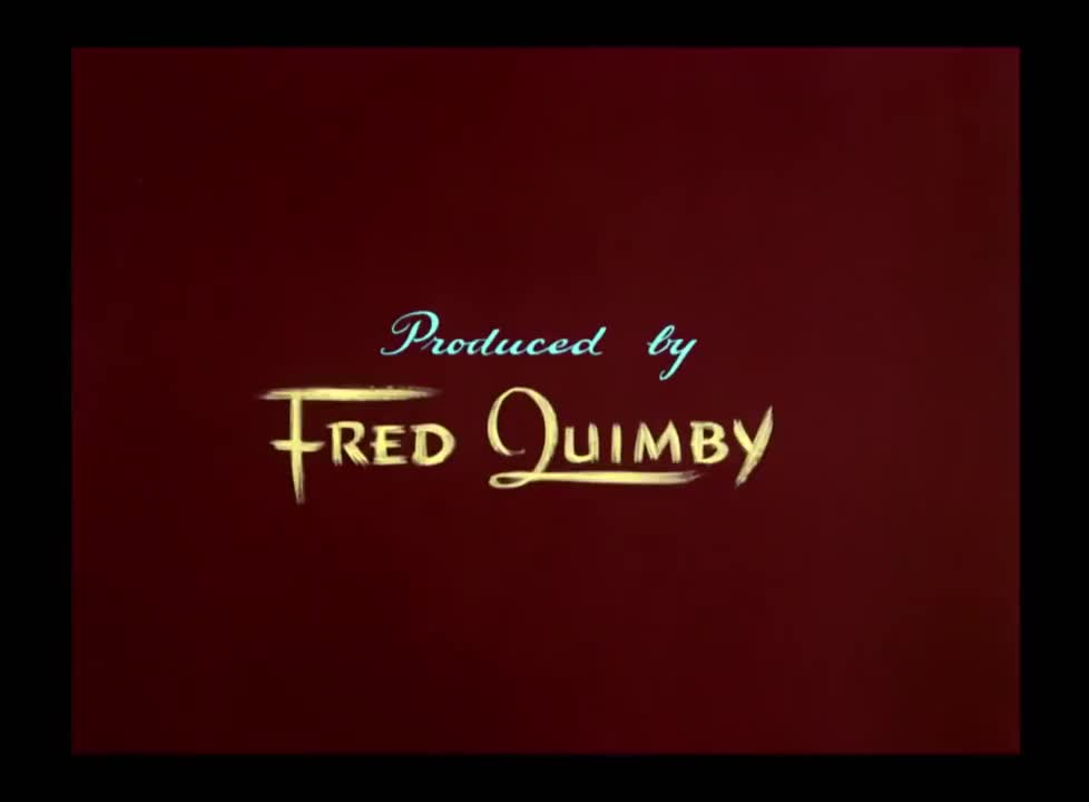 029.猫儿协奏曲-The Cat Concerto