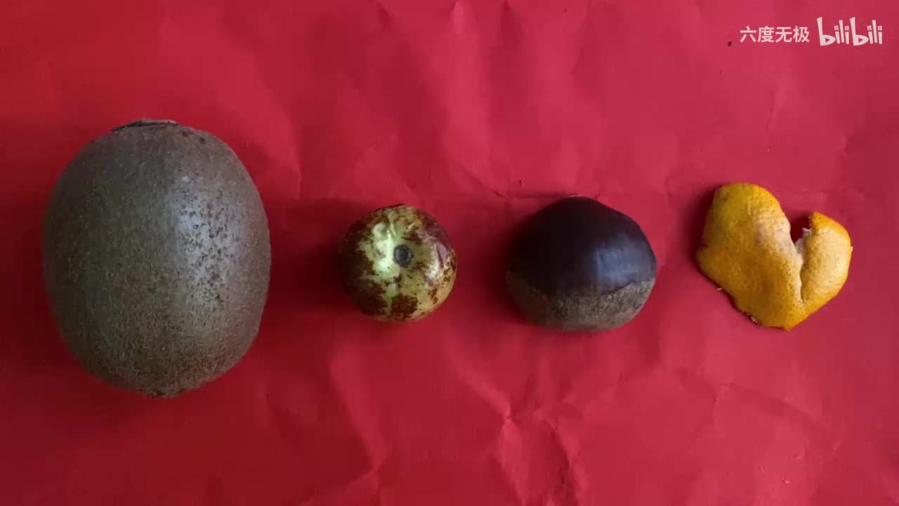 细捋 我的下一任