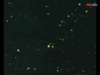 薛刚闹花灯