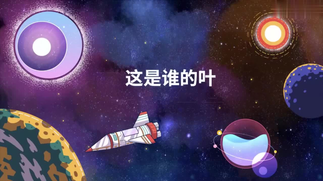 004-这是谁的叶