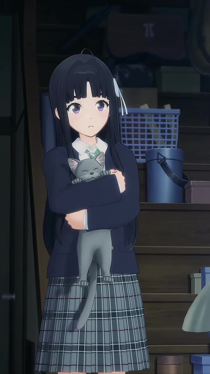486和猫