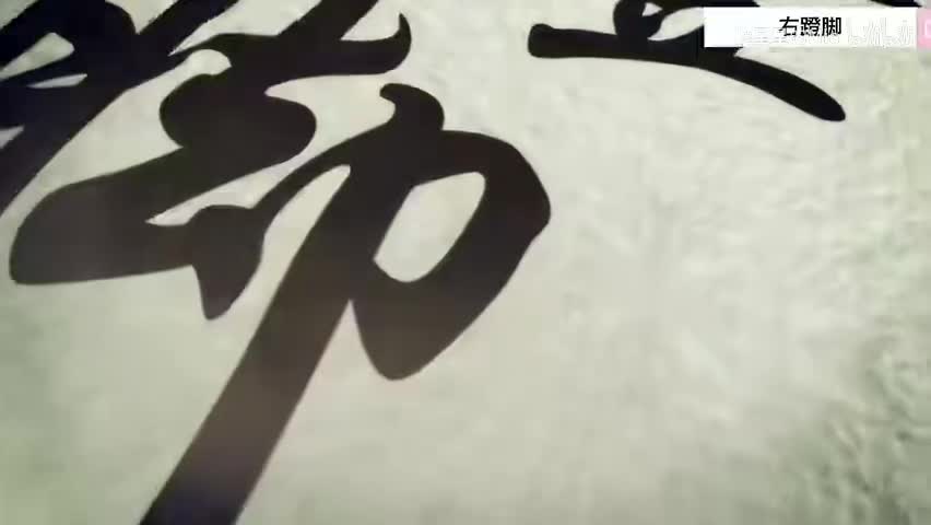 13.第十三式 右蹬脚