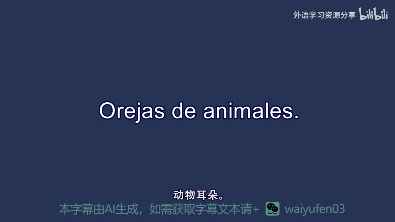 【西班牙语RAZ】B_15_Orejas de animales