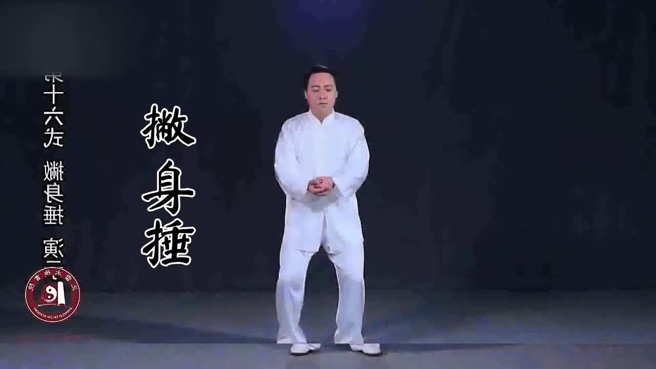 第十六式-撇身捶