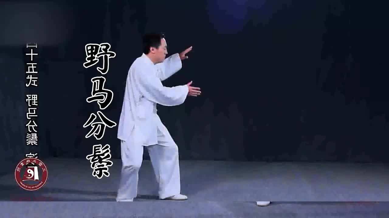 第四十五式-野马分鬃