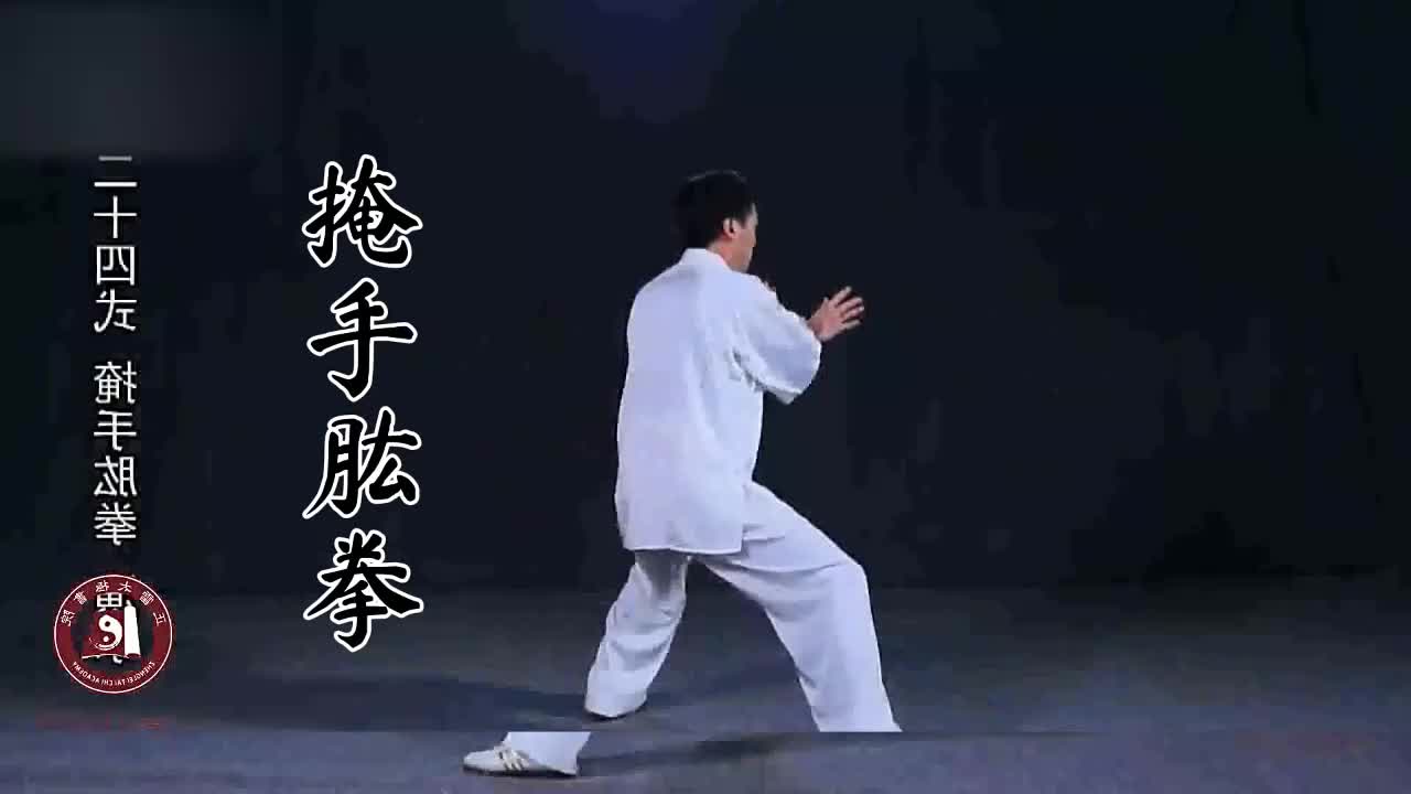 第二十四式-掩手肱拳