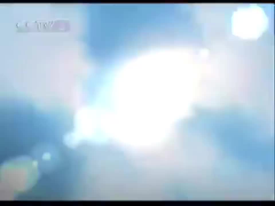 赣南脐橙-2008年至2011年