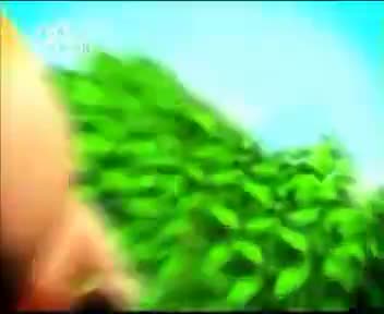 [139951]_[哈哈少儿频道]_[哈哈少儿频道]_[2011-03-11]