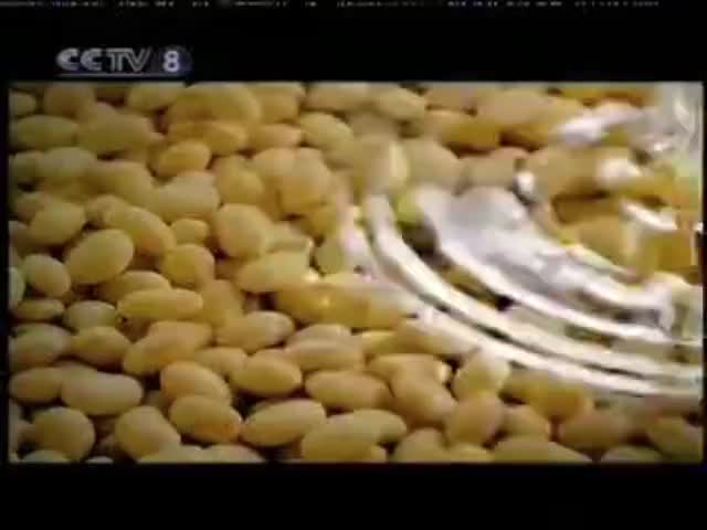 九阳豆浆机-2006年至2009年10月