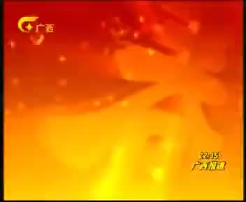 [86446]_[金嗓子喉片]_[广西卫视]_[2009-01-23]