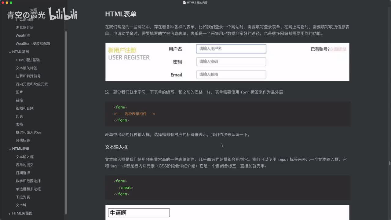 表单：普通文本框