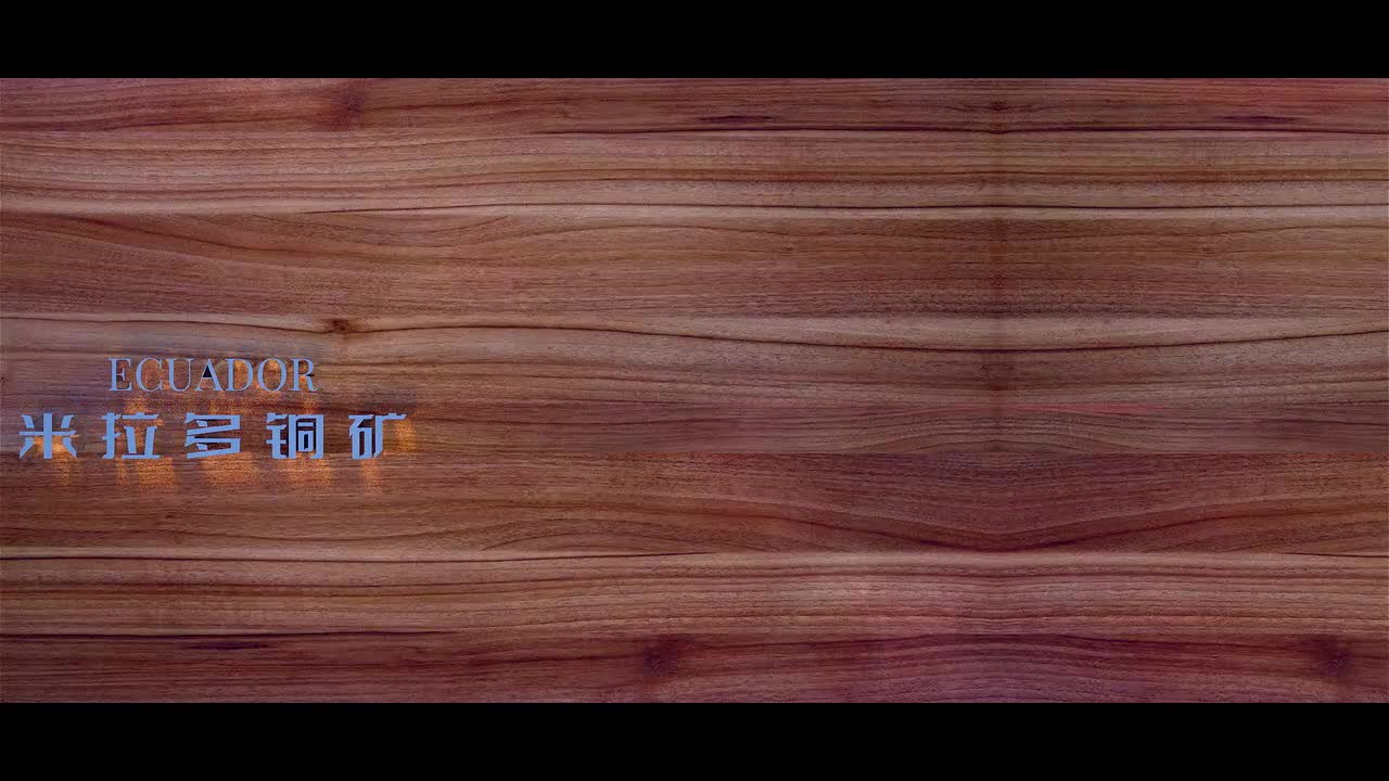 《我与中国的故事》