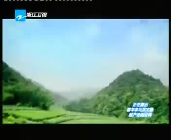 [103737]_[浙江卫视]_[浙江卫视]_[2009-10-12]