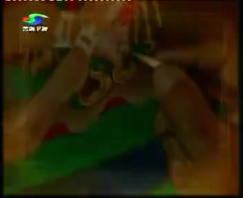 [92801]_[青海电视台]_[青海卫视]_[2009-05-04]