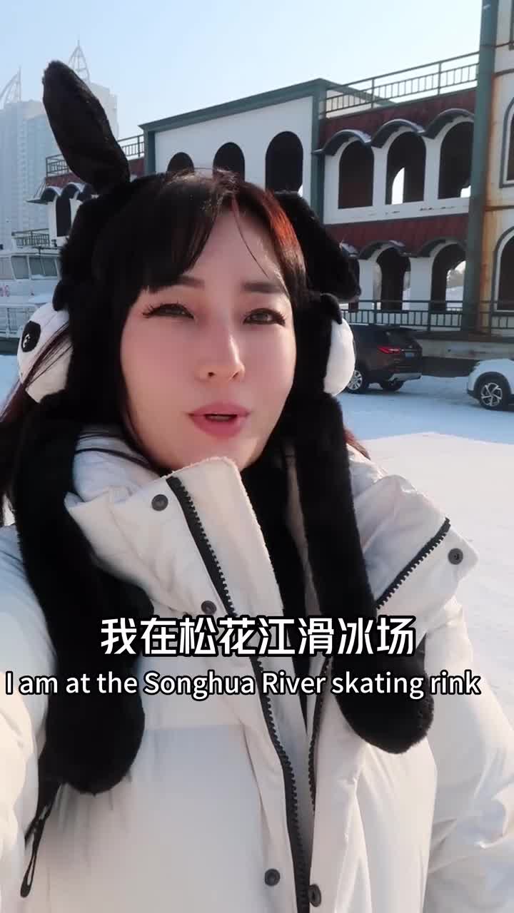 《当韩国人来到哈尔滨》系列作品1