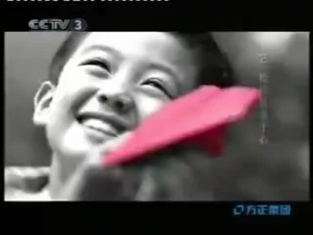 方正集团-2005年至2006年