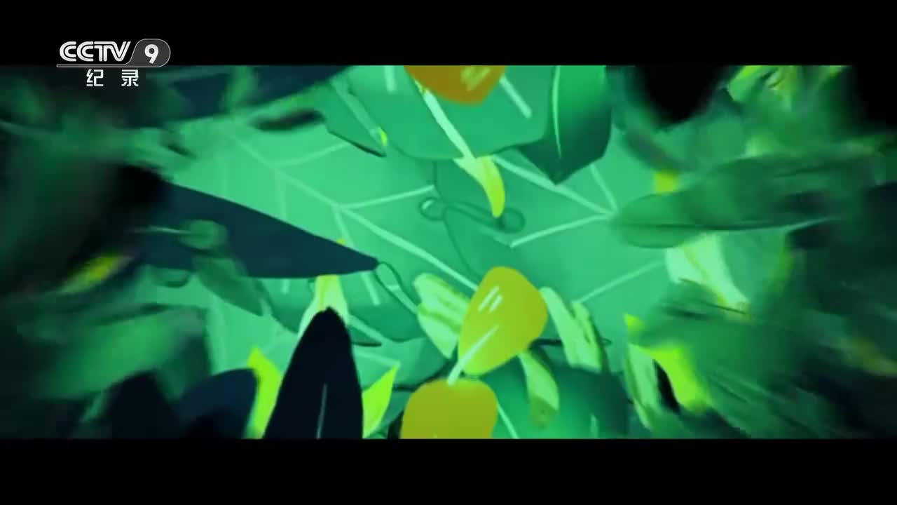 第3集：蜘蛛也哺乳