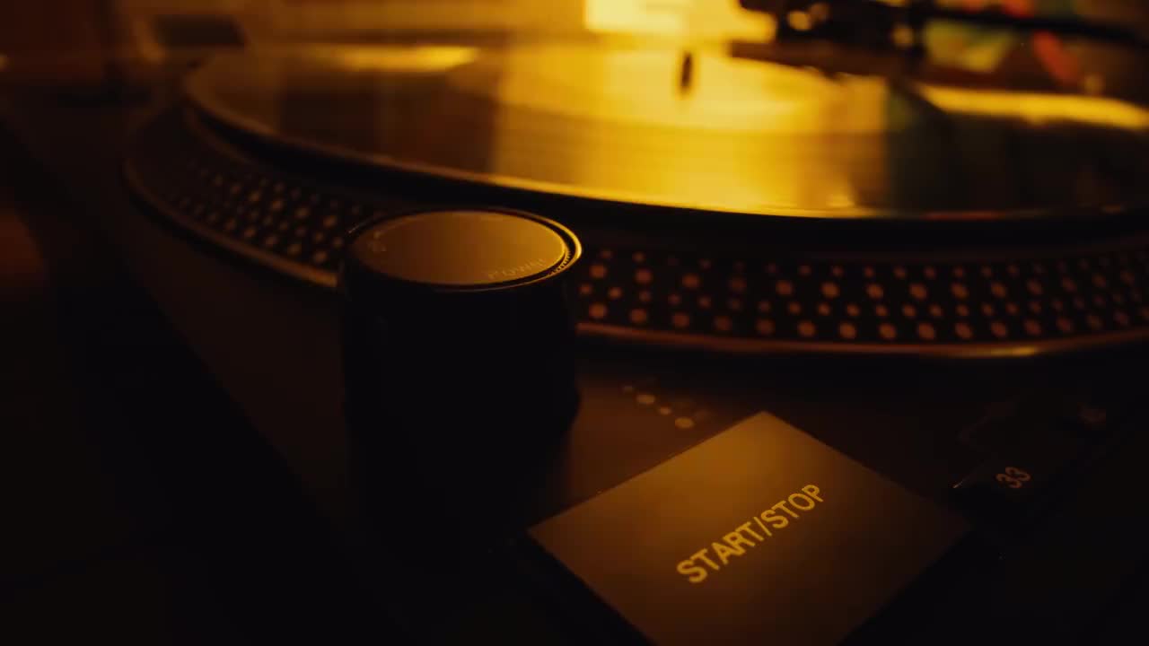 “艺术家大脑的解构剖析”Anatomy Of The Artist Brain