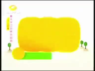 2013冠名 飞行唱跳会