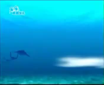 [128193]_[长风海洋世界]_[哈哈少儿频道]_[2010-10-03]