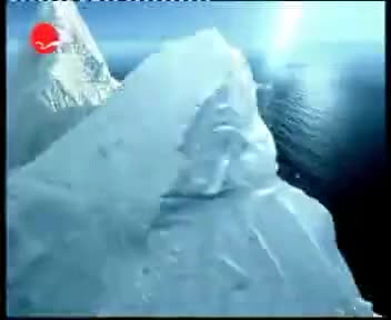 [23797]_[长风海洋世界]_[上海东方电视台外语频道]_[2005-07-06]