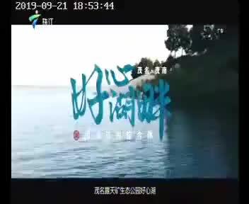 茂名 茂南 9月23日 如约绽放（2019.9.22）