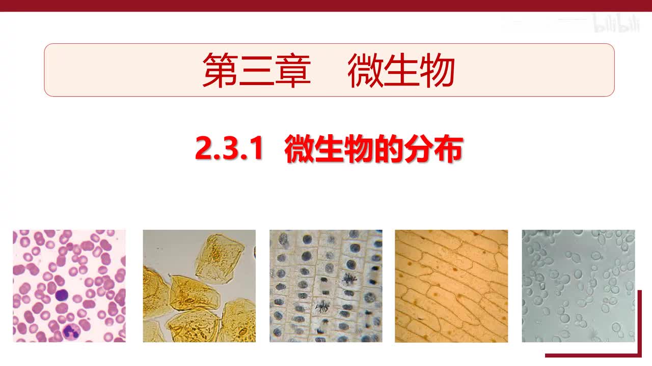 mmexport1733899084222