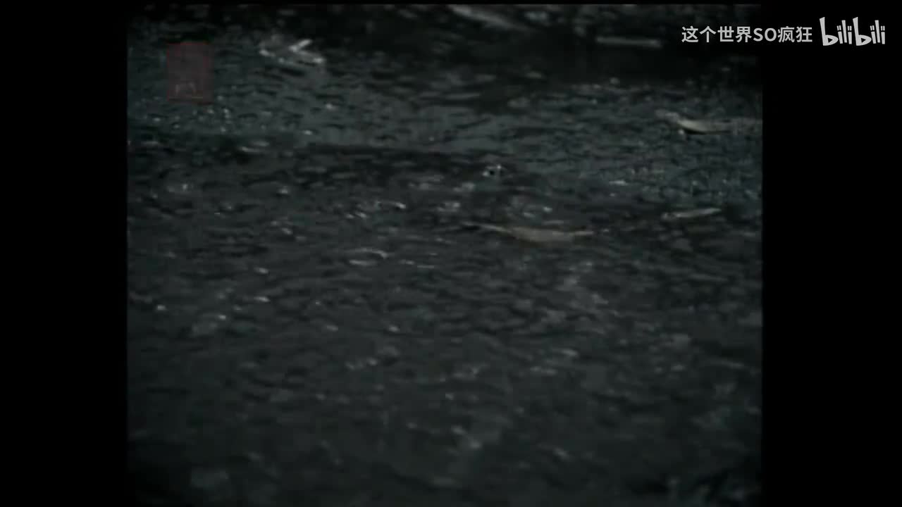 雨一直下 - 张宇