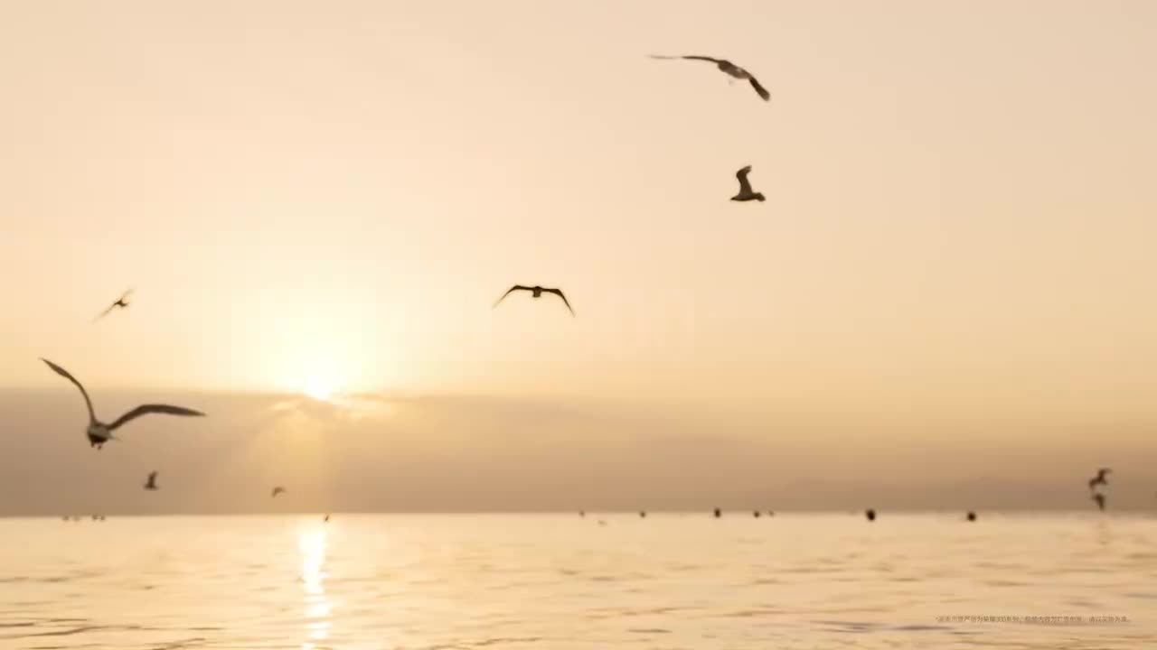 HONOR 300 5G 系列广告（2）