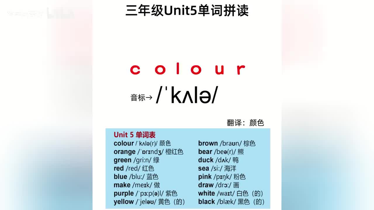 Unit 5单词