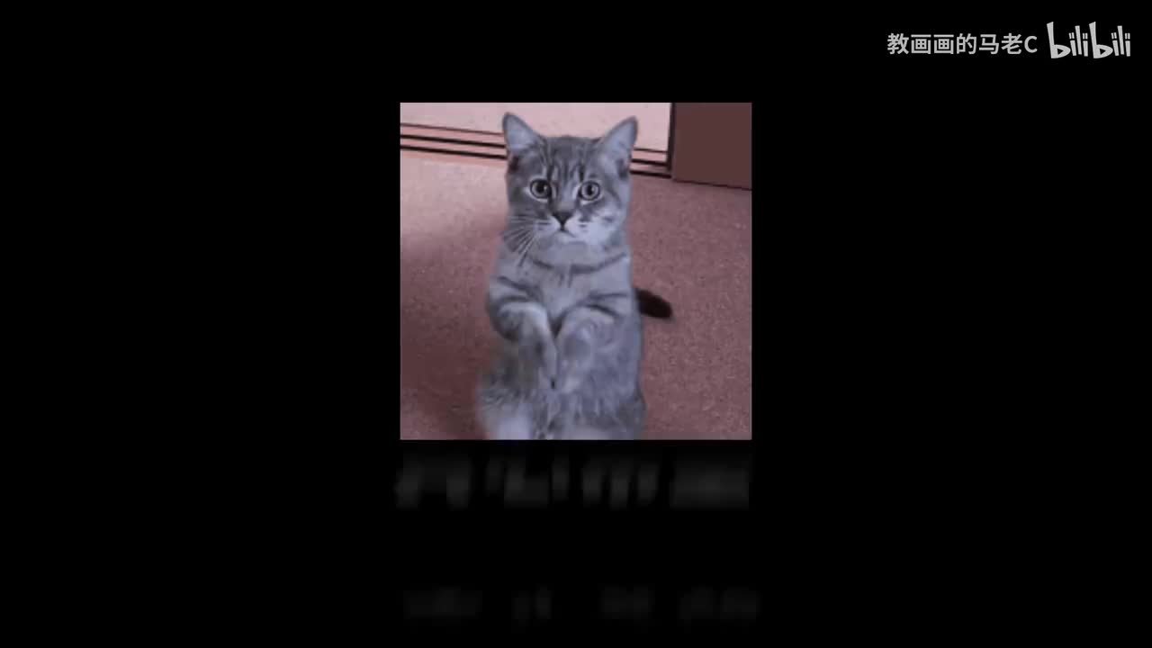 1.头发重要基础知识