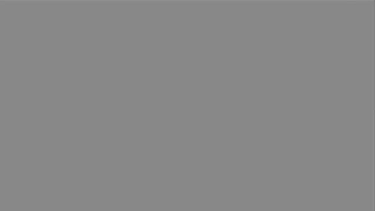 009弗拉门戈之星