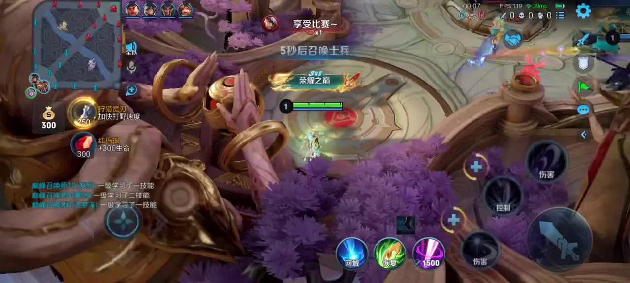 『王者符合18』露娜5