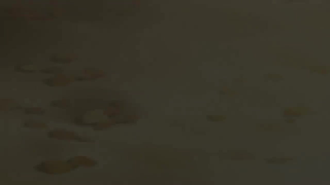 ED31: GO YOUR OWN WAY / 滴草由实