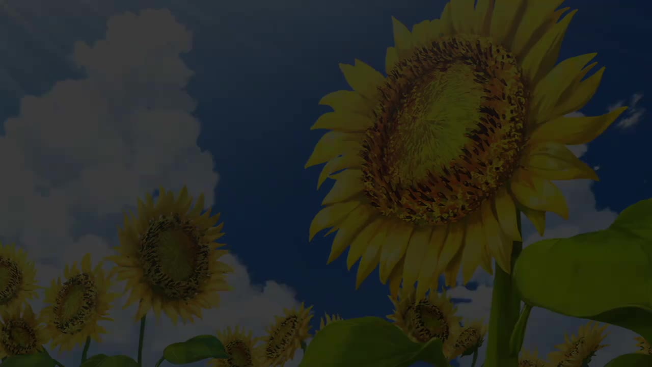 ED34: 光 / BREAKERZ