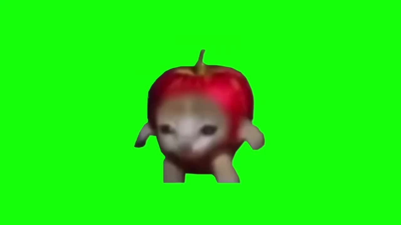 苹果猫跑步（有声）