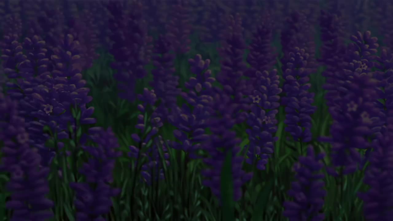 ED40: Your Best Friend / 仓木麻衣