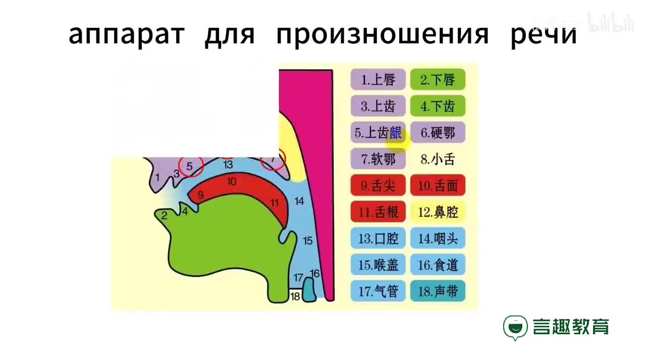 002-字母Аа Оо Уу Ээ