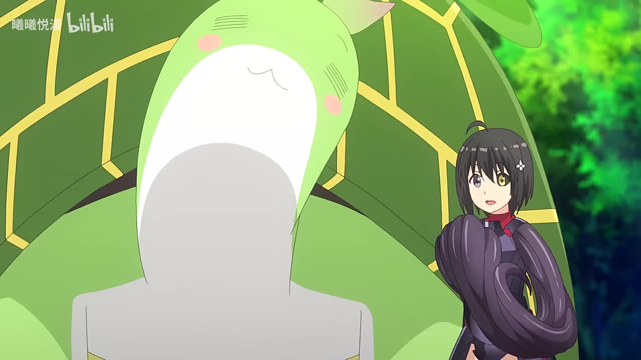 一口气看因为怕痛就全点防御力了第二季下