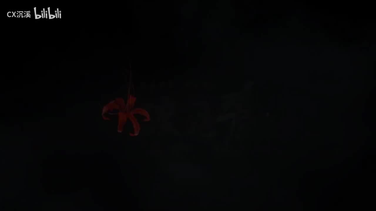 红鸾天喜-纯音乐-渡见春版本主题曲-世界之外