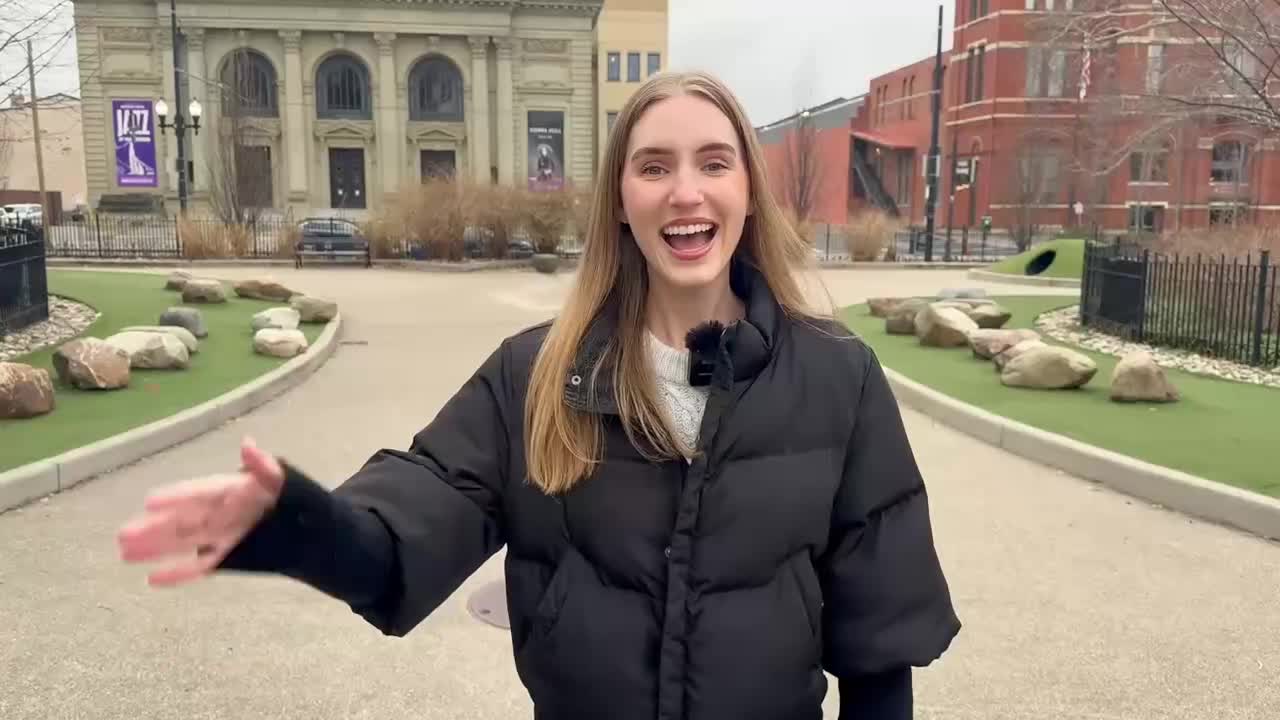 狗狗有关的词汇