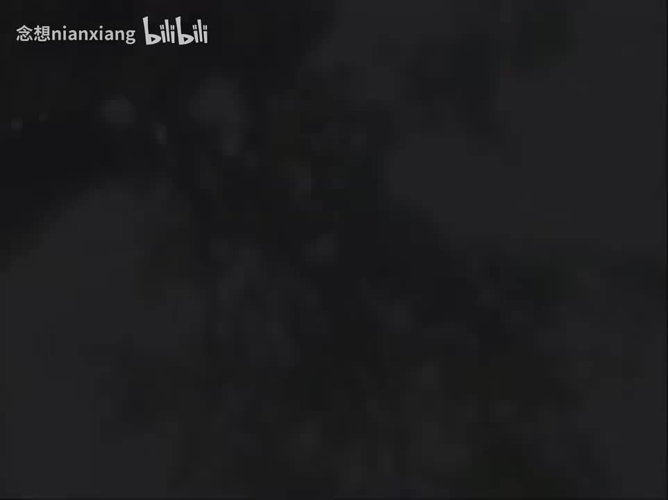 【VCD4k修复】第5部：片头