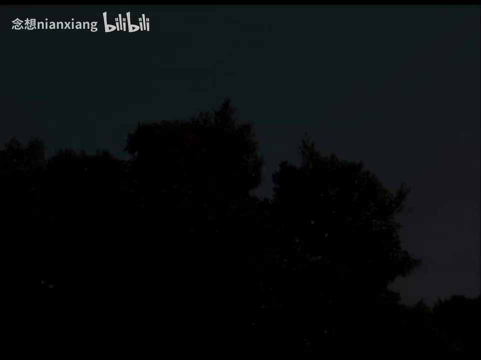 【VCD4k修复】29.第6部1：哑人压si囝