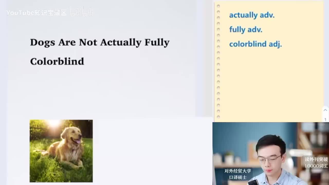 【每日超精读30】狗狗实际上不是全色盲！