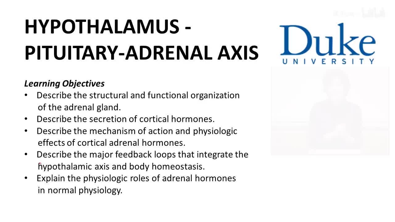 p36_01_hypothalamus-pituitary-adrenal-axis