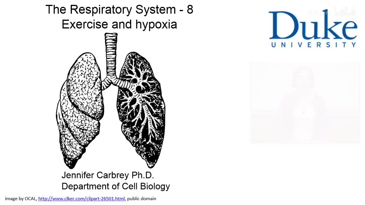 p32_01_exercise-and-hypoxia