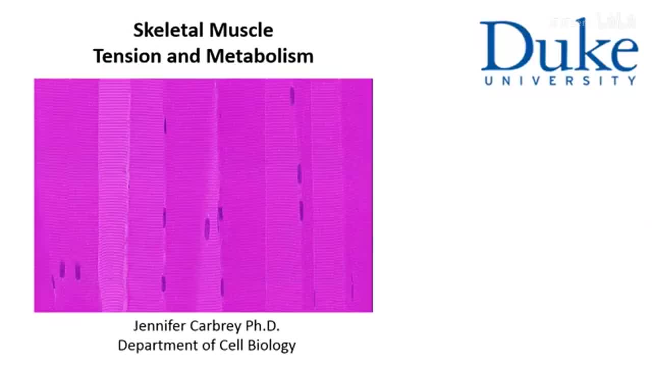 p18_02_tension-and-metabolism