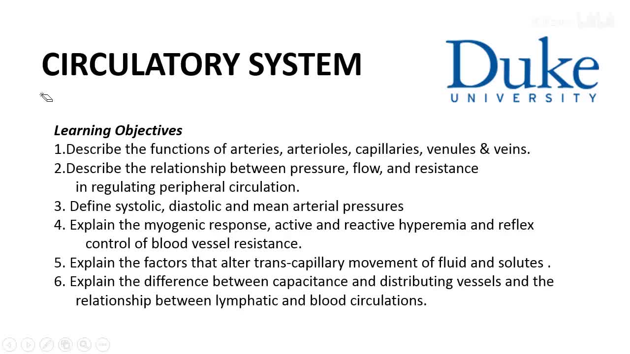 p24_01_circulatory-system