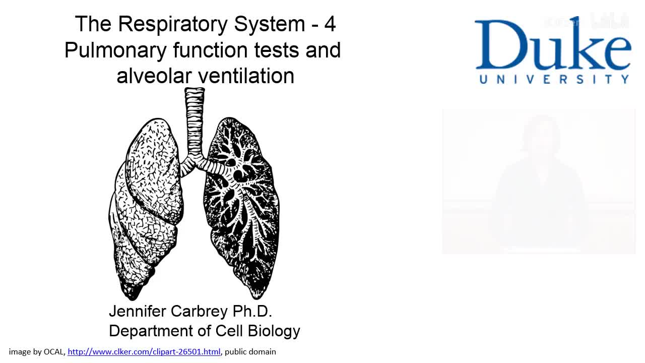 p29_04_pulmonary-function-tests-and-alveolar-ventilation