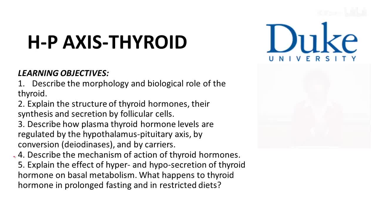 p37_02_hypothalamus-pituitary-thyroid-axis